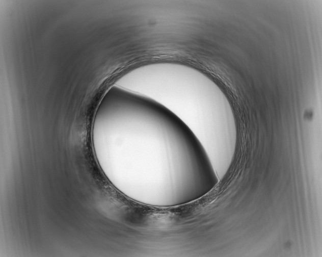 X0000099930595200805231001