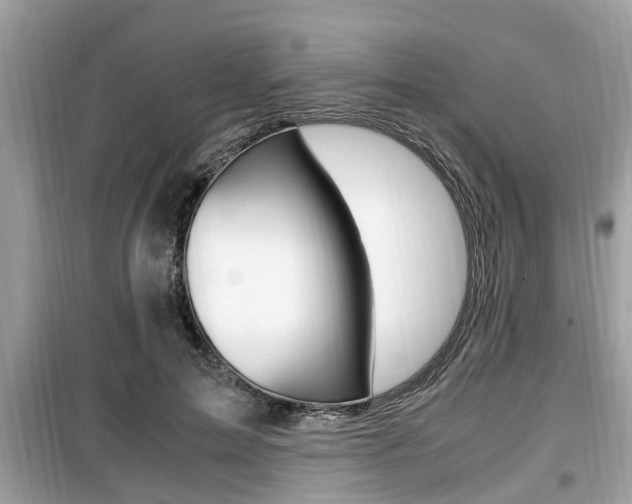 X0000099930599200805231001