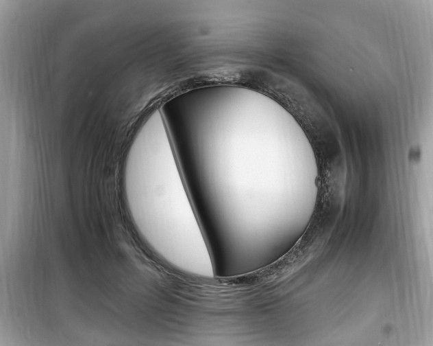 X0000099930600200805231001