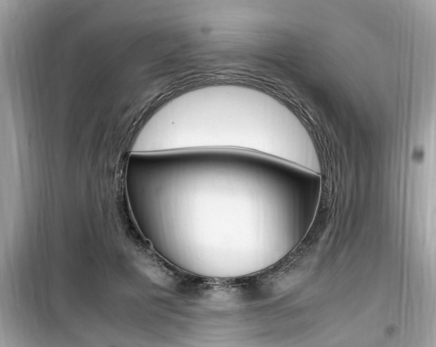 X0000099930601200805231001