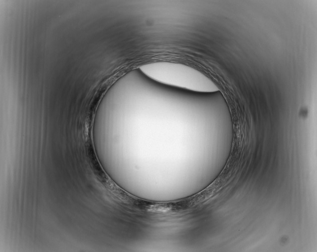 X0000099930602200805231001