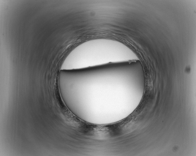 X0000099930603200805231001
