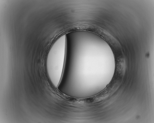 X0000099930604200805231001