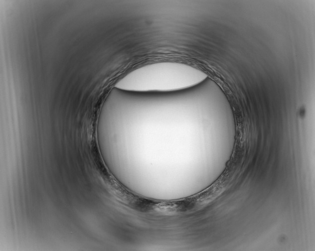X0000099930606200805231001