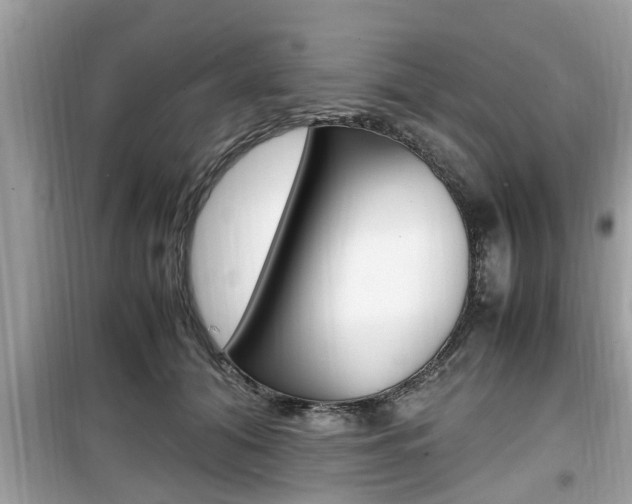 X0000099930608200805231001