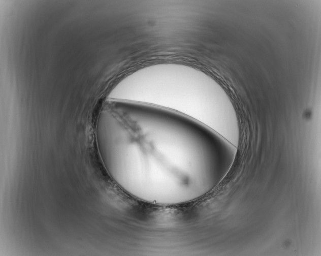X0000099930609200805231001