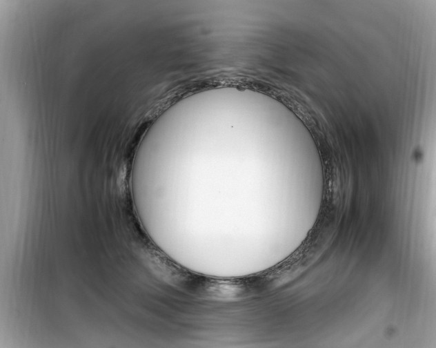 X0000099930610200805231001