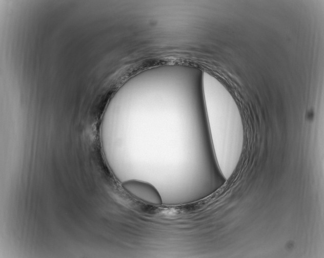 X0000099930611200805231001