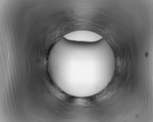 X0000099930614200805231001