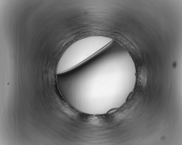 X0000099930616200805231001