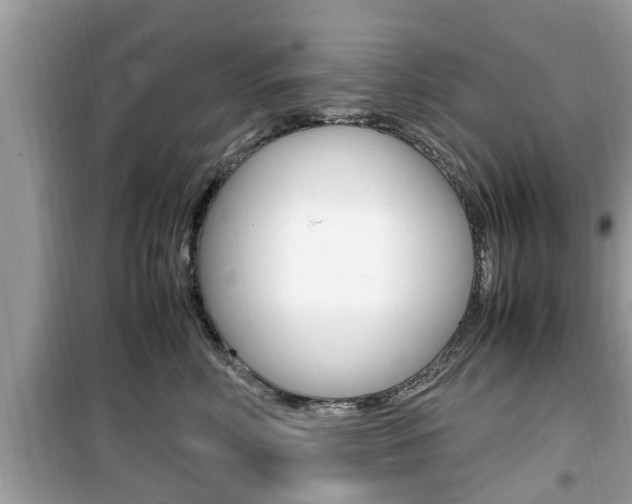 X0000099930618200805231001