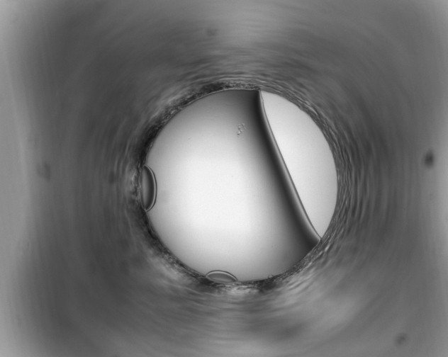 X0000099930619200805231001