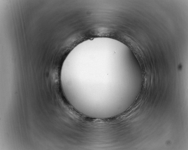 X0000099930620200805231001