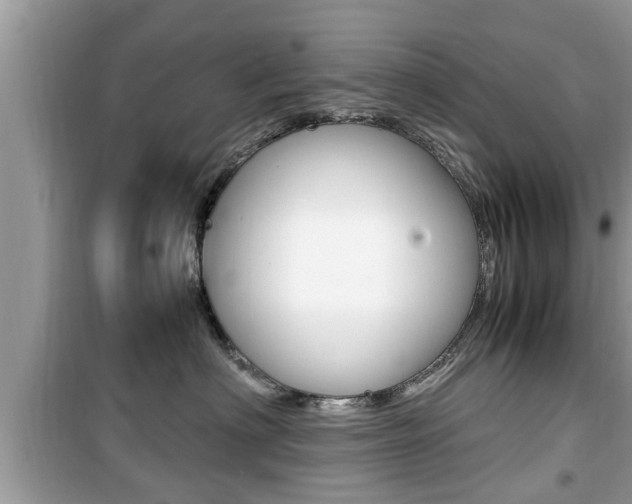 X0000099930622200805231001