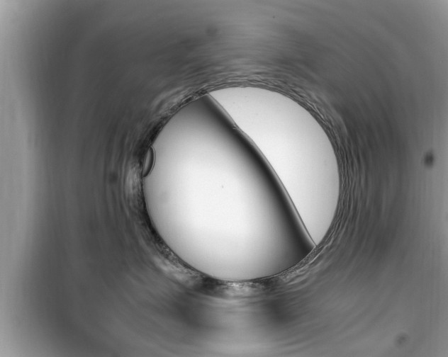 X0000099930623200805231001