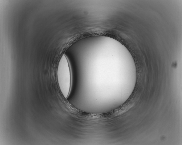 X0000099930624200805231001
