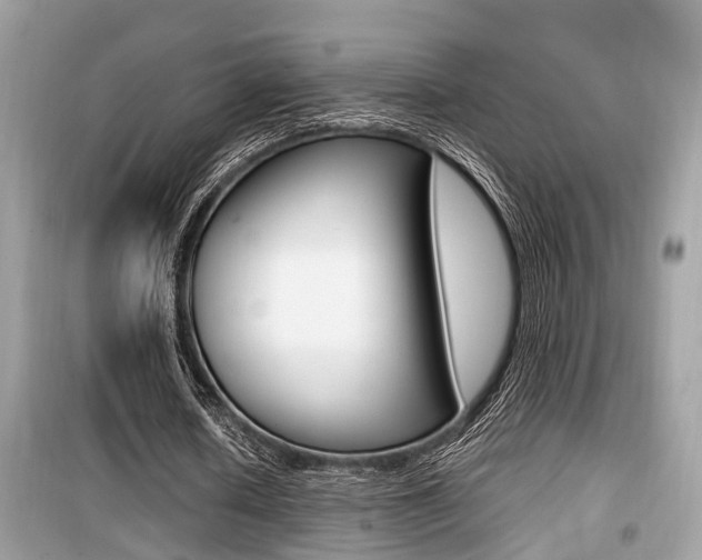 X0000099930626200805231000