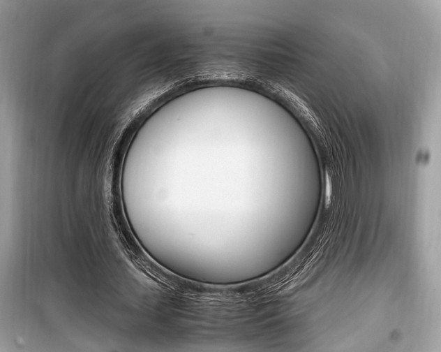 X0000099930627200805231000