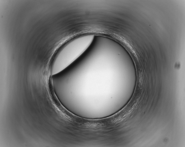 X0000099930629200805231000