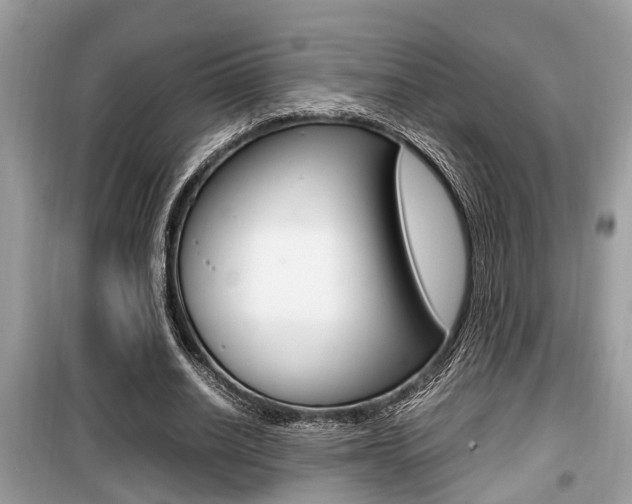 X0000099930630200805231000