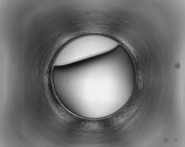 X0000099930631200805231000