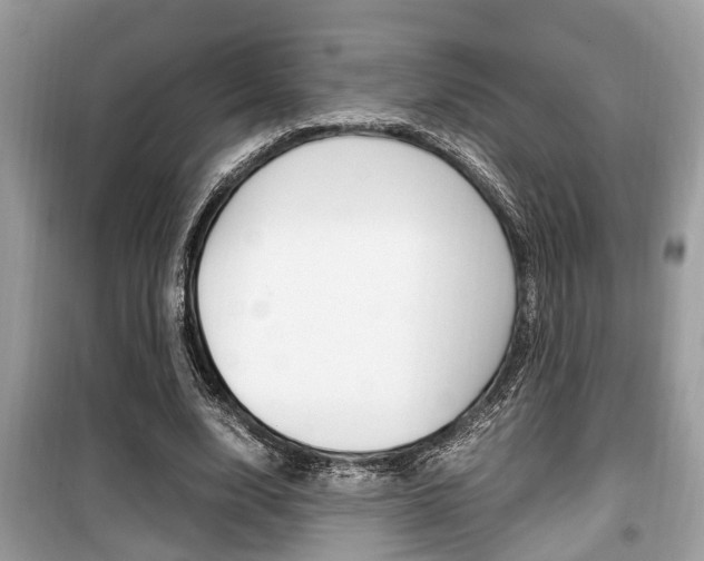 X0000099930632200805231000