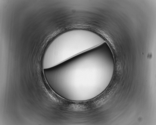 X0000099930633200805231000