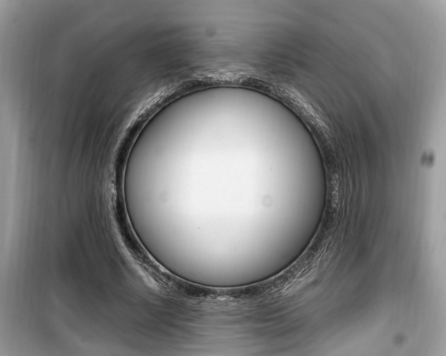 X0000099930634200805231000