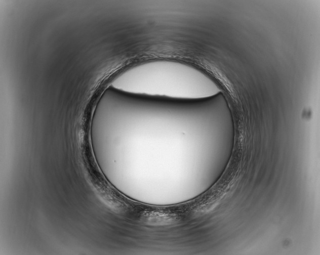 X0000099930635200805231000