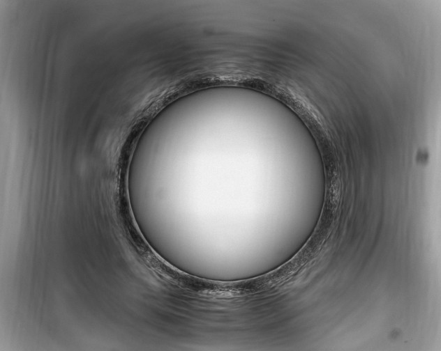 X0000099930639200805231000