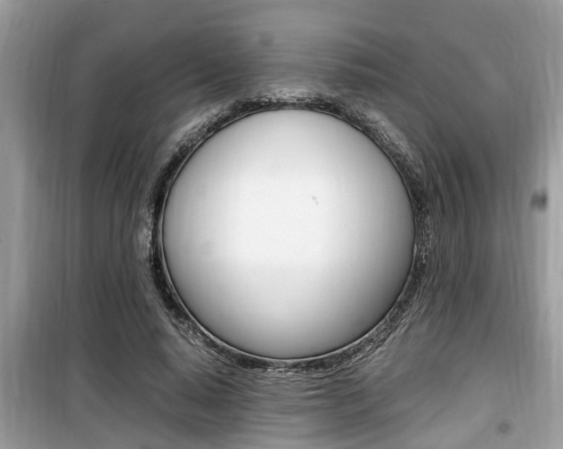 X0000099930640200805231000