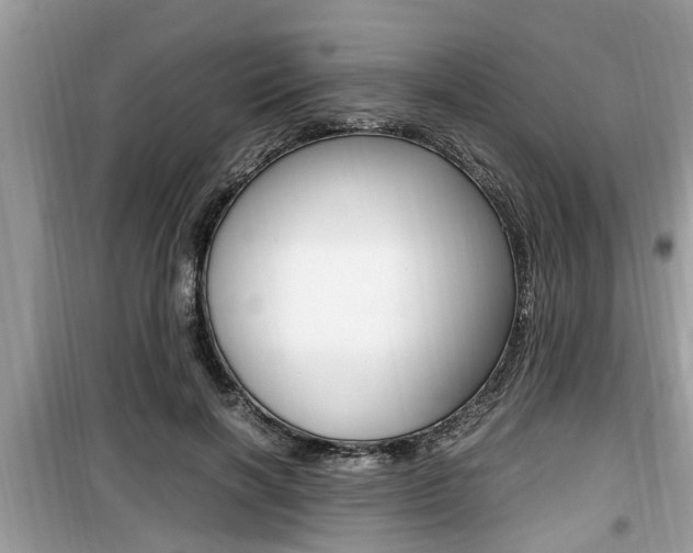 X0000099930646200805231000