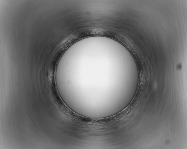 X0000099930648200805231000