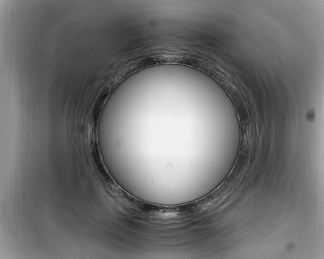 X0000099930651200805231000