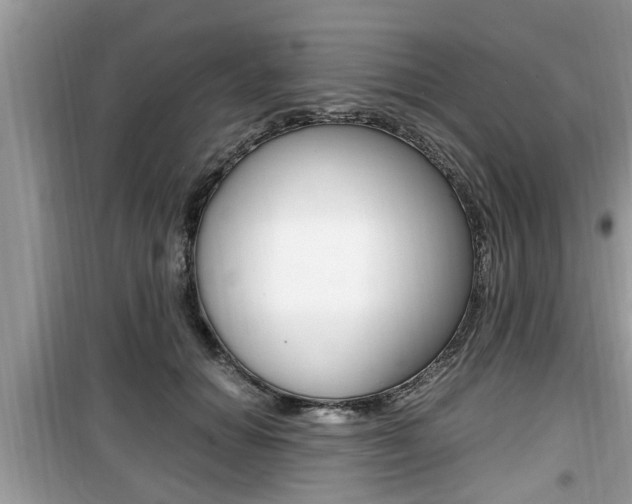 X0000099930654200805231000