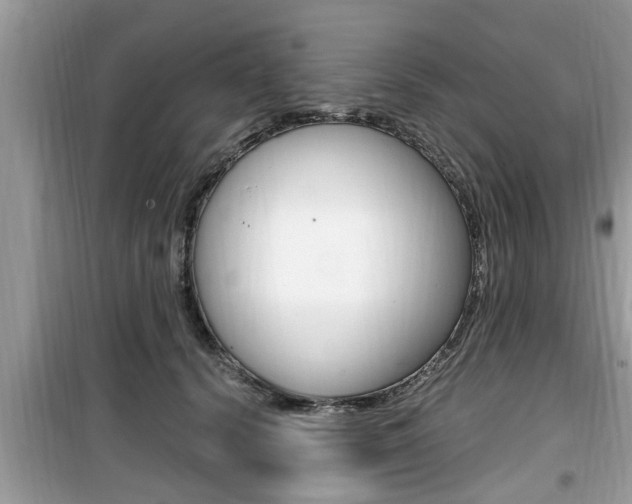 X0000099930656200805231000