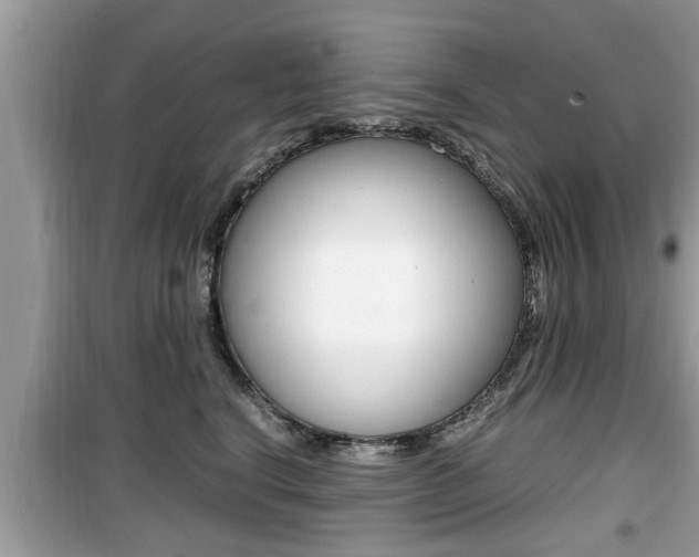 X0000099930664200805231000