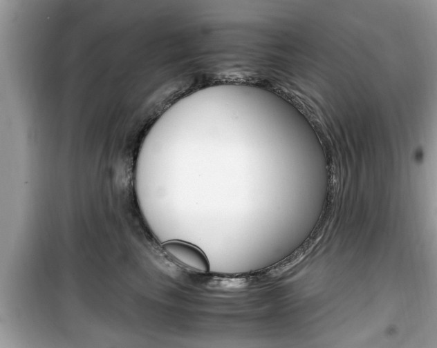 X0000099930665200805231000