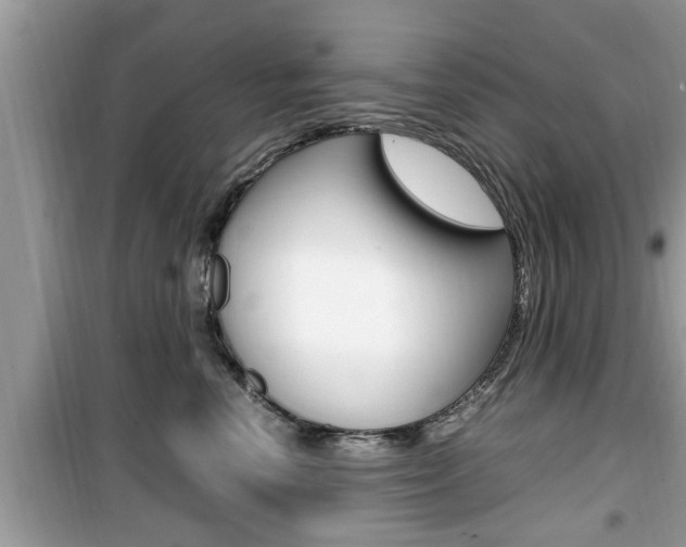 X0000099930666200805231001