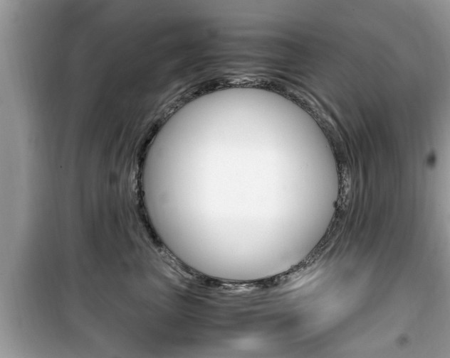 X0000099930667200805231001