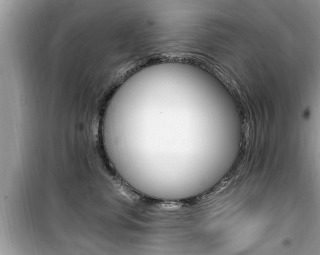 X0000099930668200805231001