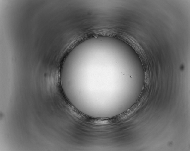 X0000099930669200805231001