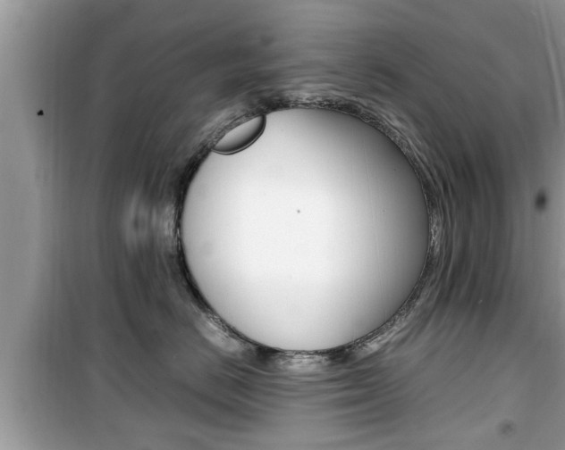 X0000099930670200805231001