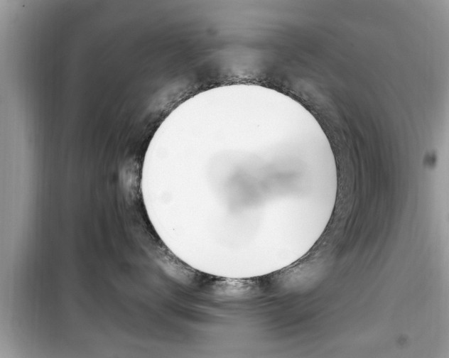 X0000099930672200805231001