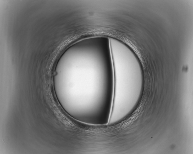 X0000099930673200805231000