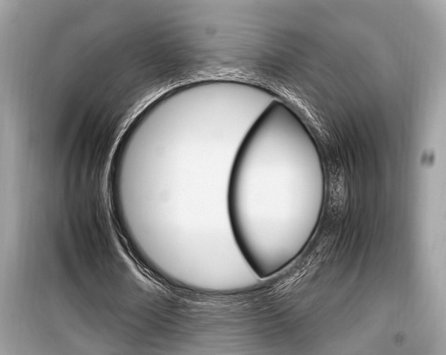 X0000099930674200805231000