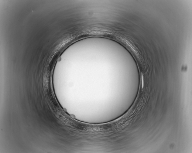 X0000099930675200805231000