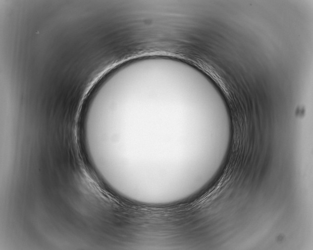 X0000099930676200805231000