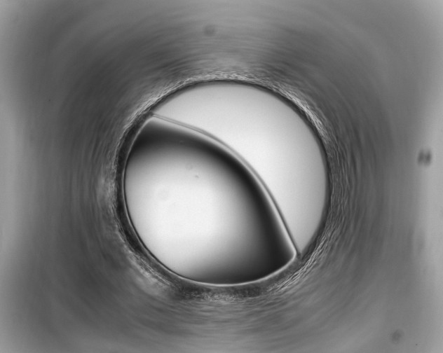 X0000099930677200805231000