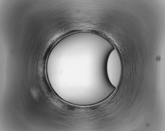 X0000099930679200805231000